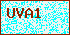 Please Input Validate code