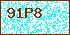 Please Input Validate code