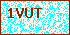Please Input Validate code