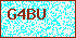 Please Input Validate code