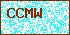 Please Input Validate code