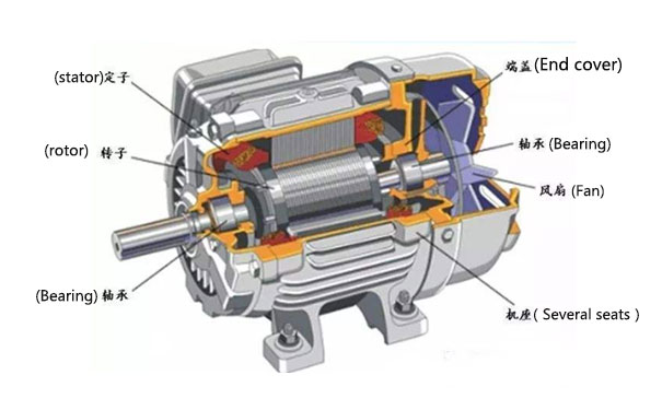 Squirrel cage induction motor applications